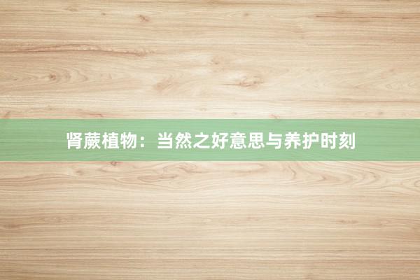 肾蕨植物：当然之好意思与养护时刻