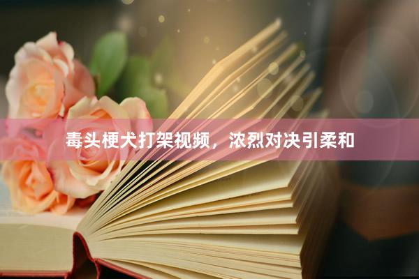 毒头梗犬打架视频，浓烈对决引柔和